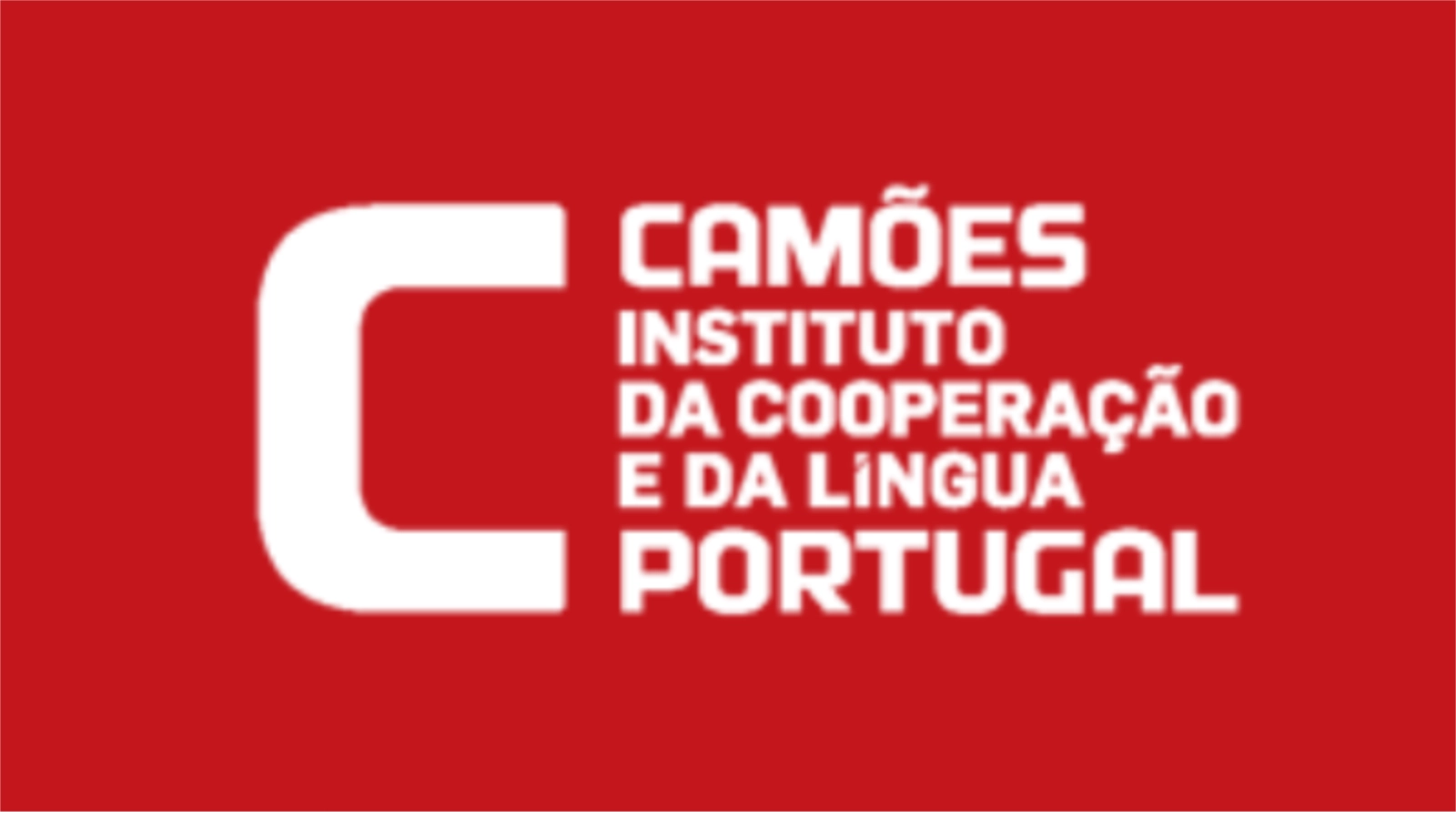 Candidaturas até 6 de maio para técnico superior no Camões de Maputo