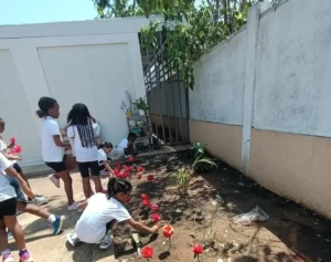 crianças plantam cravos de papel na Escola Portuguesa de Luanda